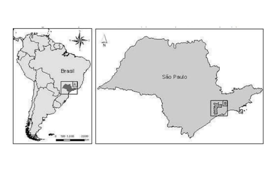 Caracterização Temporal e Espacial dos Alagamentos no Município de São Paulo