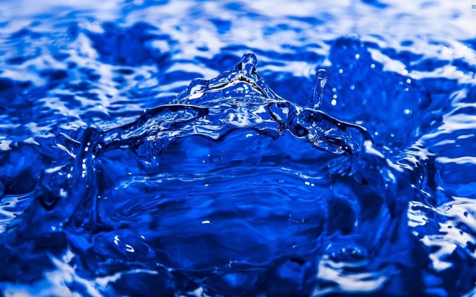 Dia Mundial da Água