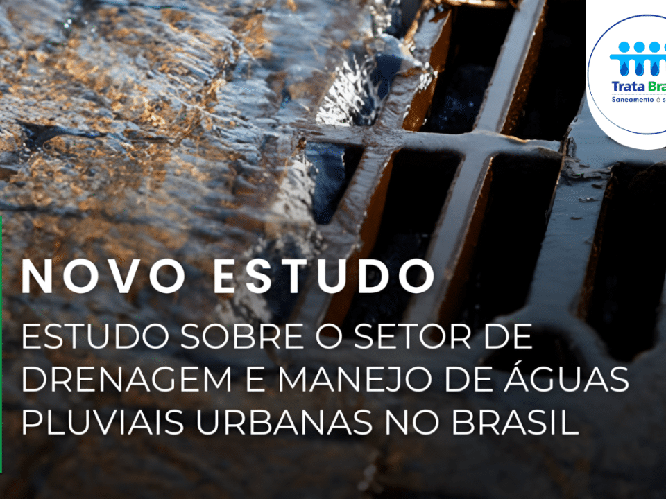 Estudo sobre o setor de drenagem e manejo de águas pluviais urbanas no Brasil